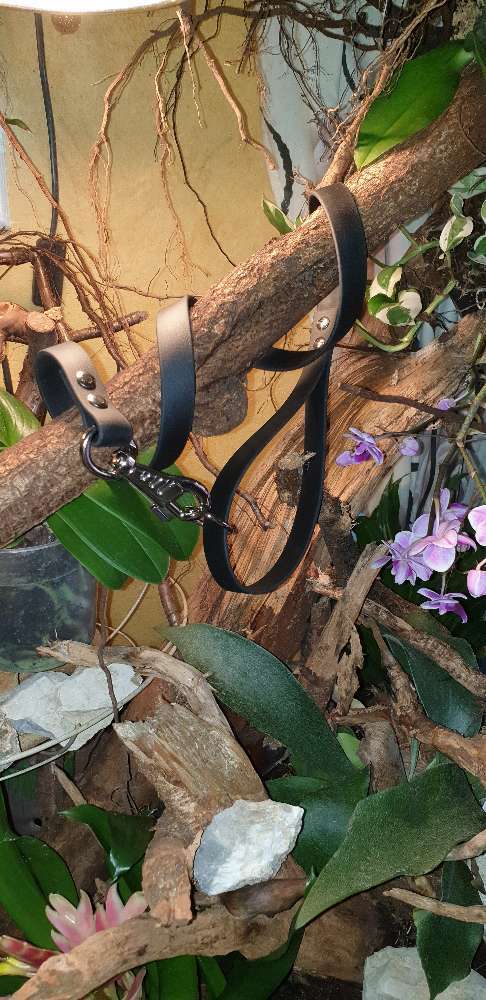 Hundeauslaufgebiet-Mila Vendée Kreativwerkstatt-Bild