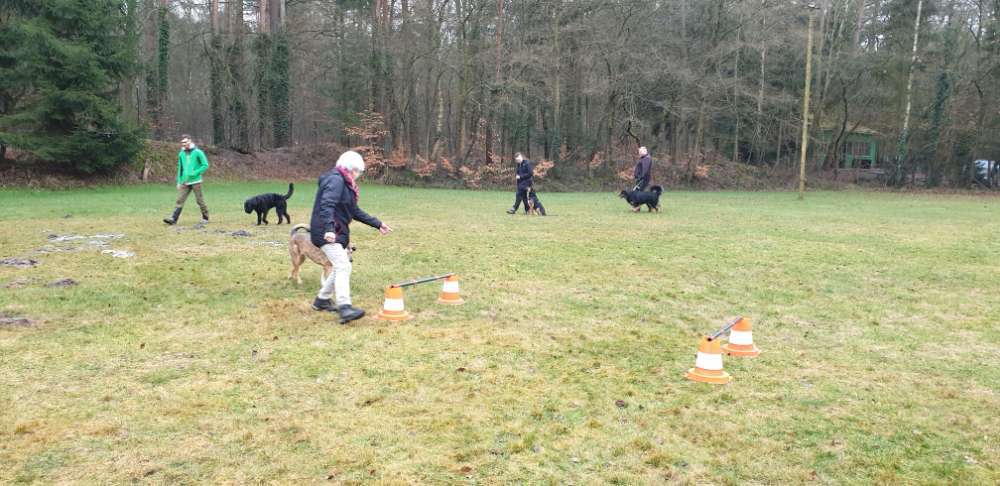 Hundeauslaufgebiet-Polizeihund-Sportverein Hambühren e. V.-Bild