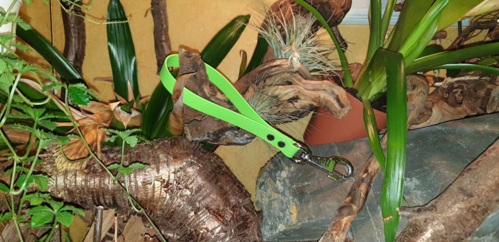 Hundeauslaufgebiet-Mila Vendée Kreativwerkstatt-Bild