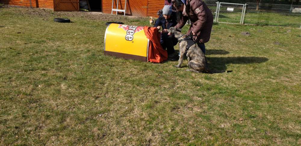 Hundeauslaufgebiet-Polizeihund-Sportverein Hambühren e. V.-Bild