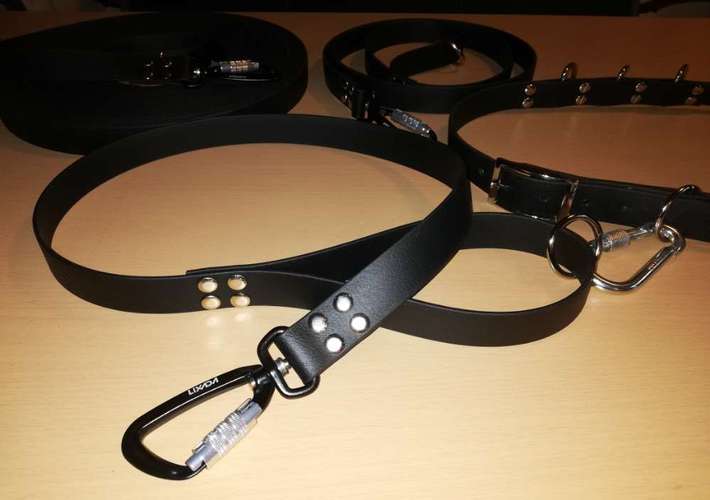 Hundeauslaufgebiet-Mila Vendée Kreativwerkstatt-Bild