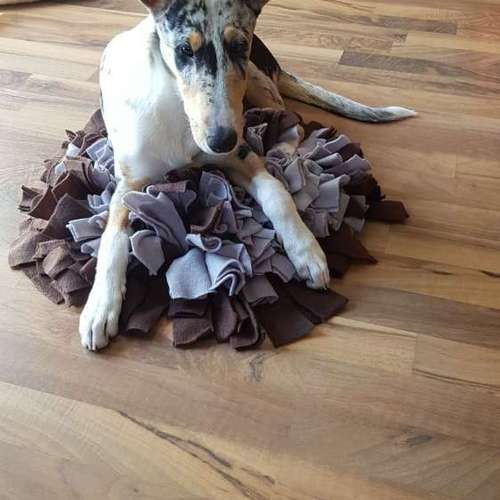Hundeauslaufgebiet-Mila Vendée Kreativwerkstatt-Bild