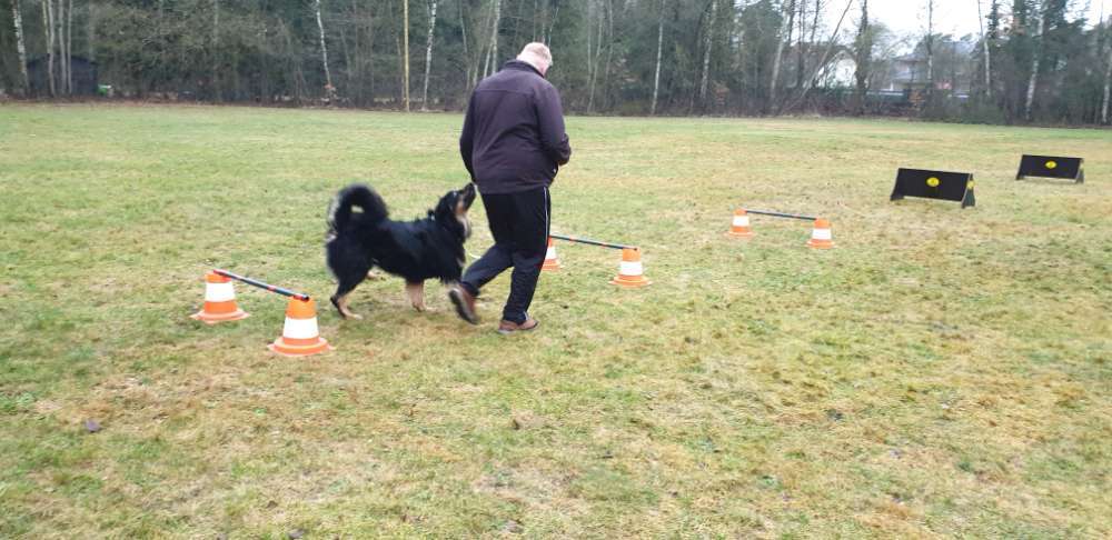 Hundeauslaufgebiet-Polizeihund-Sportverein Hambühren e. V.-Bild