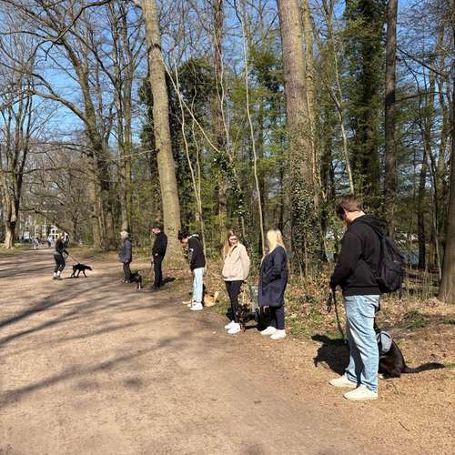 Hundeauslaufgebiet-Hundetraining Romina Goller-Bild