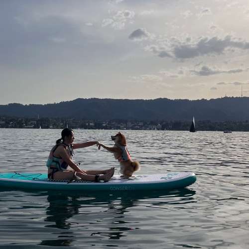 Hundeauslaufgebiet-Pawsitively-Bild