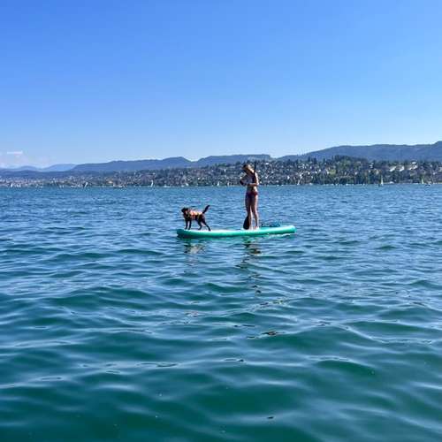 Hundeauslaufgebiet-Pawsitively-Bild