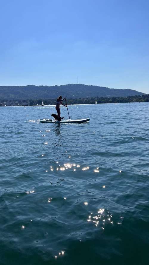 Hundeauslaufgebiet-Pawsitively-Bild