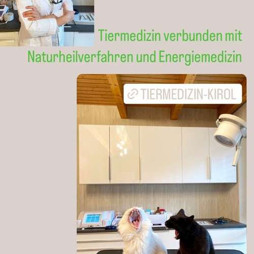 Hundeauslaufgebiet-Tierarztpraxis Naturheil-Bioresonanztherapie-Bild