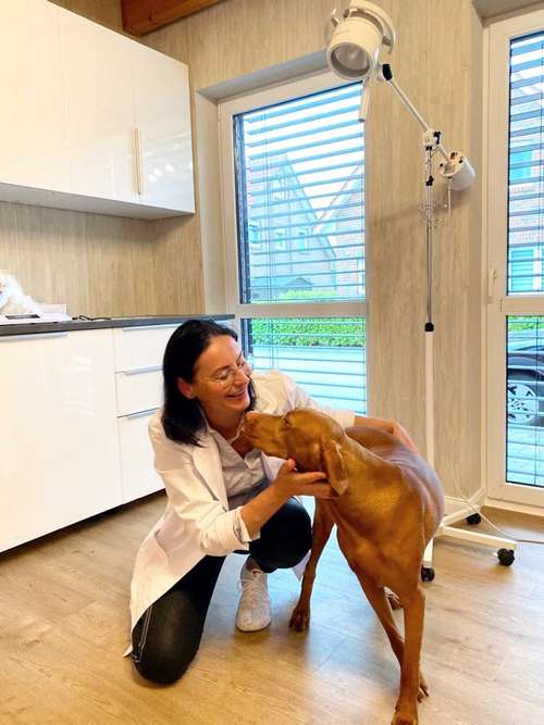 Hundeauslaufgebiet-Tierarztpraxis Naturheil-Bioresonanztherapie-Bild