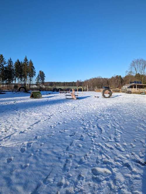 Hundeauslaufgebiet-Hundewieseanboernssoll-Bild