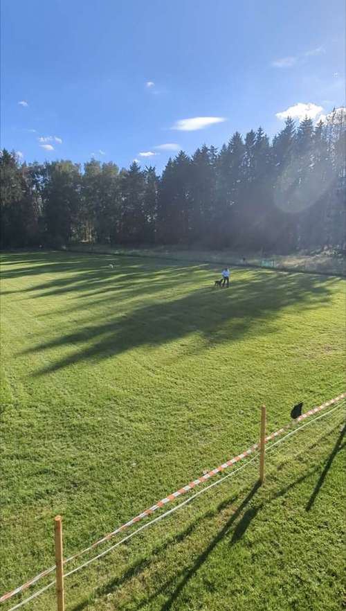 Hundeauslaufgebiet-Hundewieseanboernssoll-Bild