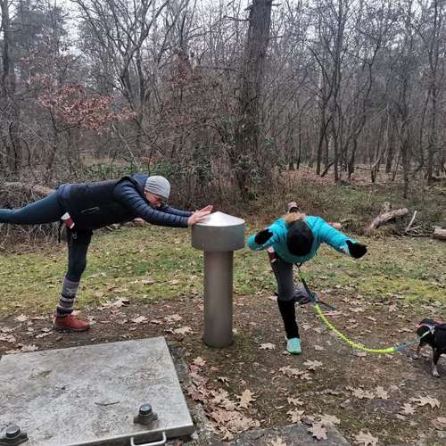 Hundeauslaufgebiet-Fitness für Hunde und ihre Menschen-Bild