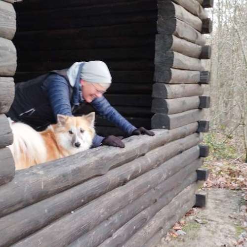 Hundeauslaufgebiet-Fitness für Hunde und ihre Menschen-Bild
