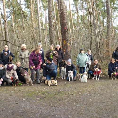 Hundeauslaufgebiet-Fitness für Hunde und ihre Menschen-Bild