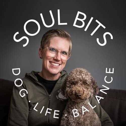 Hundeauslaufgebiet-Soul Bits - Hundetraining-Bild