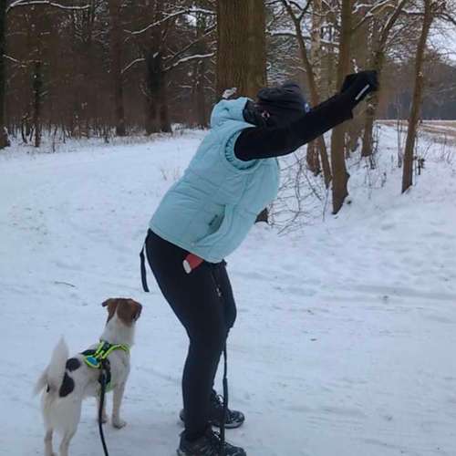 Hundeauslaufgebiet-Topfitdog Hundephysiotherapie-Bild