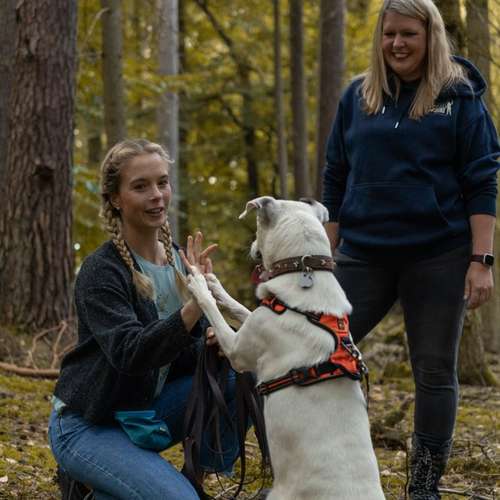 Hundeauslaufgebiet-Lebenslust Hund-Bild