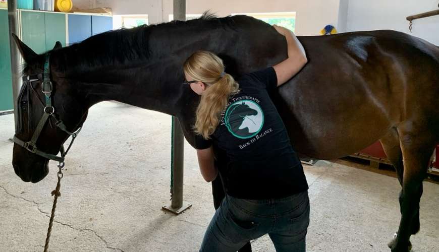 Hundeauslaufgebiet-Jana Hensel Tiertherapie - Back to Balance-Bild