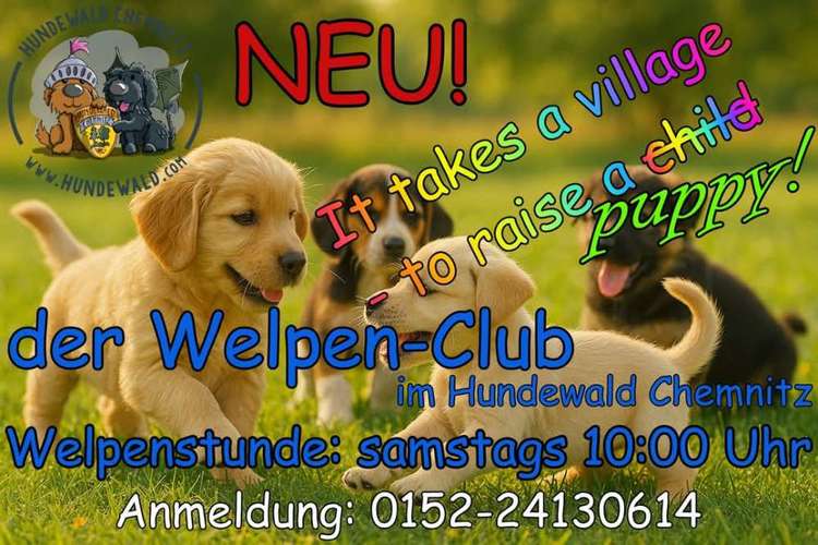 Hundeauslaufgebiet-Hundewald Chemnitz-Bild