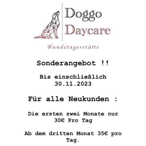 Hundeauslaufgebiet-Doggo Daycare-Bild