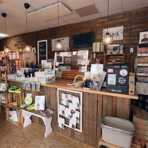 Hundeauslaufgebiet-Fresco Store Hagen-Bild