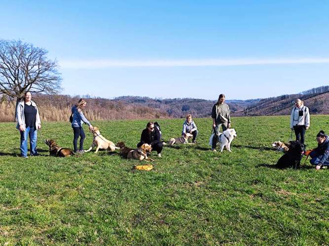 Hundeauslaufgebiet-Herz (H)und Kopf-Bild