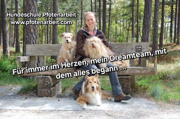 Hundeauslaufgebiet-Hundeschule Pfotenarbeit-Bild