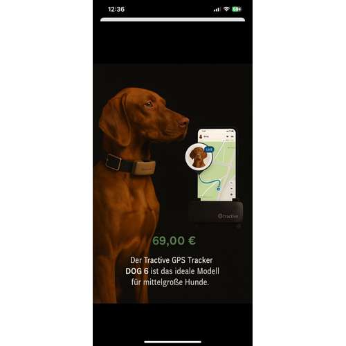 Hundeauslaufgebiet-The Golden Pet-Bild