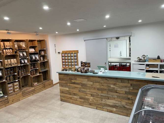 Hundeauslaufgebiet-HamburgBarft-Bild