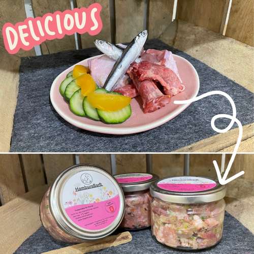 Hundeauslaufgebiet-HamburgBarft-Bild