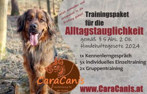 Hundeauslaufgebiet-CaraCanis Hundeverhaltensberatung-Bild