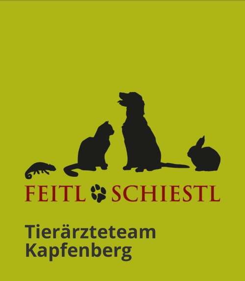 Hundeauslaufgebiet-Tierärzteteam Kapfenberg-Bild