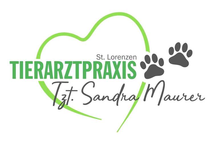 Hundeauslaufgebiet-Tierarztpraxis Maurer-Bild