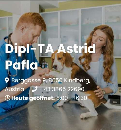 Hundeauslaufgebiet-Mag. Astrid Pafla und Team-Bild