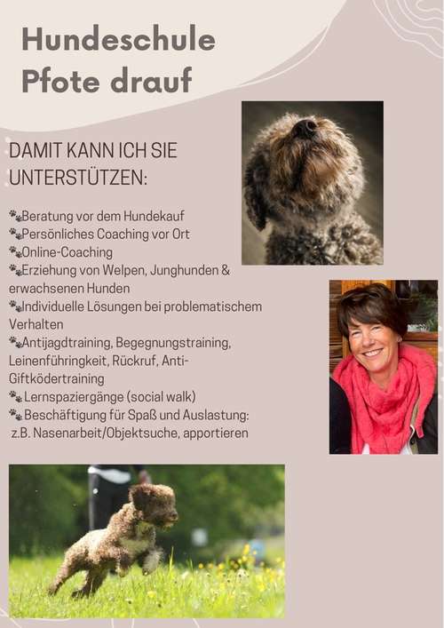 Hundeauslaufgebiet-Hundetraining „Pfote drauf“-Bild