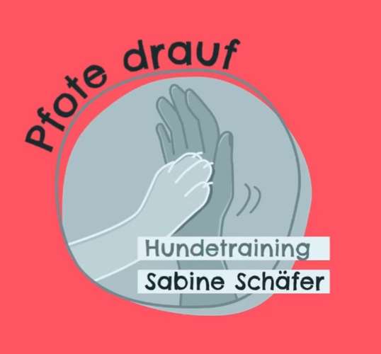 Hundeauslaufgebiet-Hundetraining „Pfote drauf“-Bild
