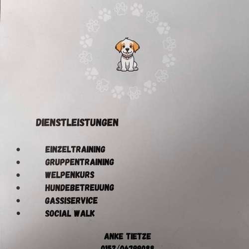 Hundeauslaufgebiet-Die Pfötchenschule -Bild