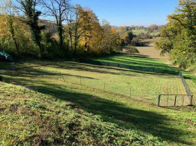 Hundeauslaufgebiet-Hundefreunde Pfinztal-Bild