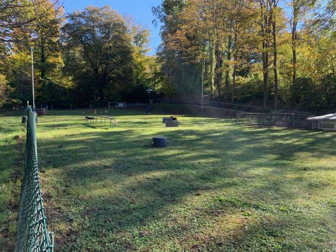 Hundeauslaufgebiet-Hundefreunde Pfinztal-Bild