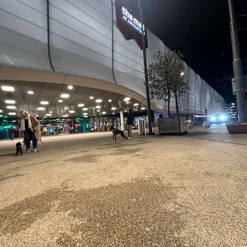 Hundeauslaufgebiet-Martin Rütter Hundeschule Luzern-Bild