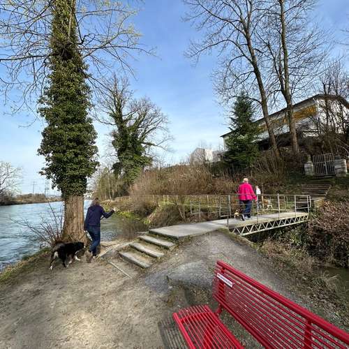 Hundeauslaufgebiet-Martin Rütter Hundeschule Luzern-Bild