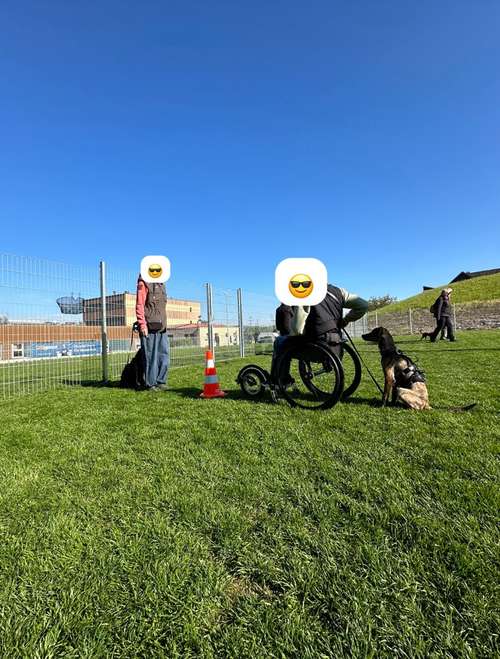 Hundeauslaufgebiet-Martin Rütter Hundeschule Luzern-Bild