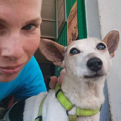 Hundeauslaufgebiet-Jo's DMS Coaching / Therapie / Futter-Bild