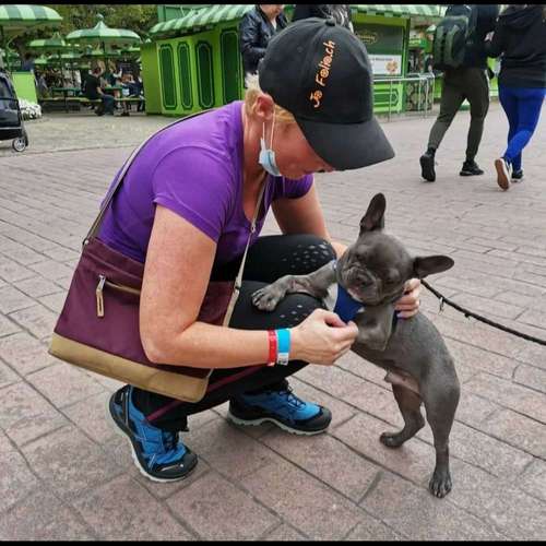 Hundeauslaufgebiet-Jo's DMS Coaching / Therapie / Futter-Bild