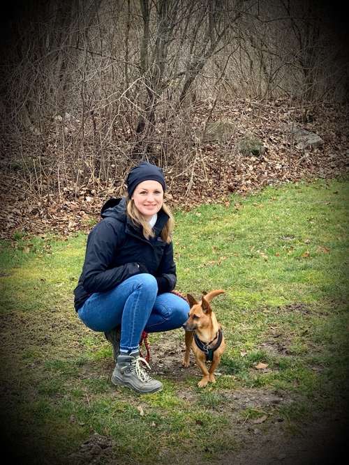 Hundeauslaufgebiet-Hundewohl-Rheinland-Bild