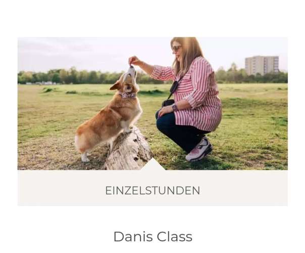 Hundeauslaufgebiet-Danis Dogs-Bild