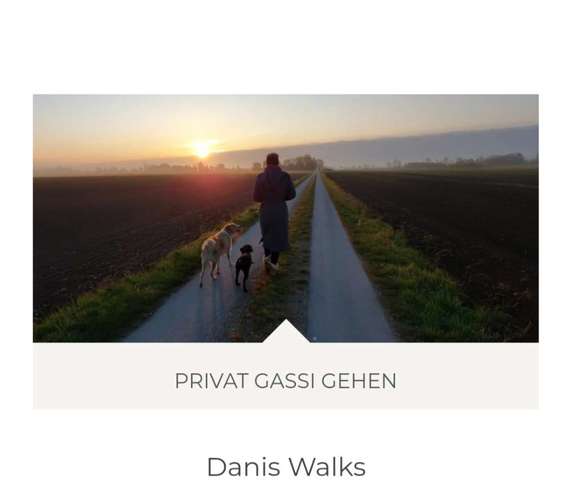 Hundeauslaufgebiet-Danis Dogs-Bild