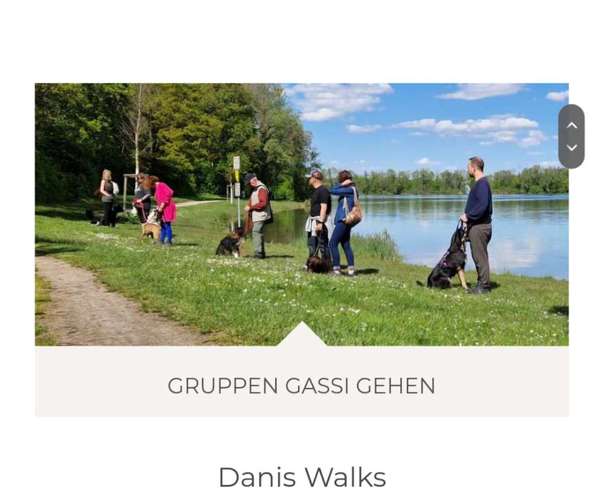 Hundeauslaufgebiet-Danis Dogs-Bild