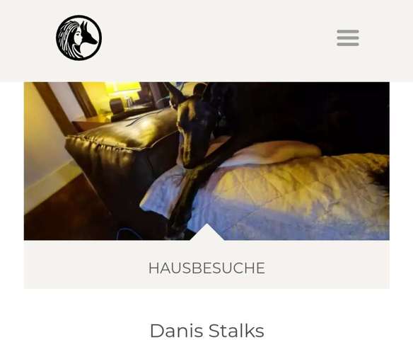 Hundeauslaufgebiet-Danis Dogs-Bild