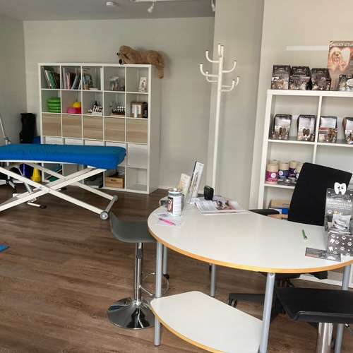 Hundeauslaufgebiet-Lauf-Stall Tierphysiotherapie-Bild
